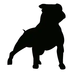 Cuidad con el Perro